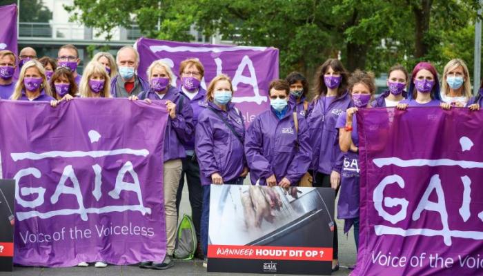 Gaia animal rights