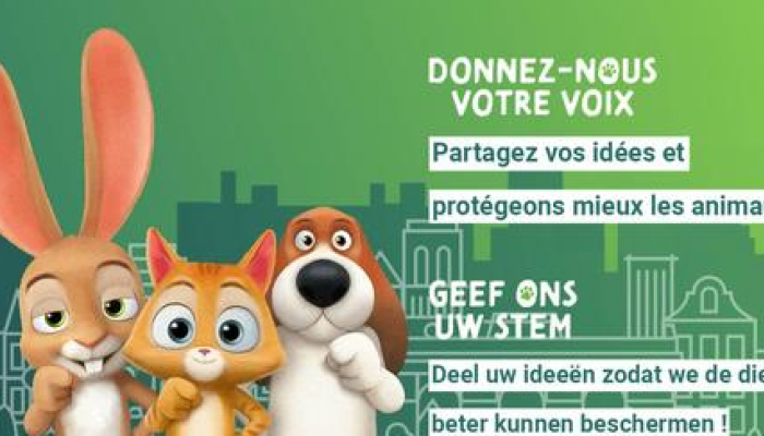 Brusselse codex voor Dierenwelzijn