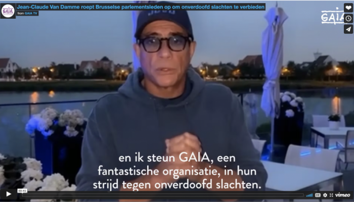Jean-Claude Van Damme