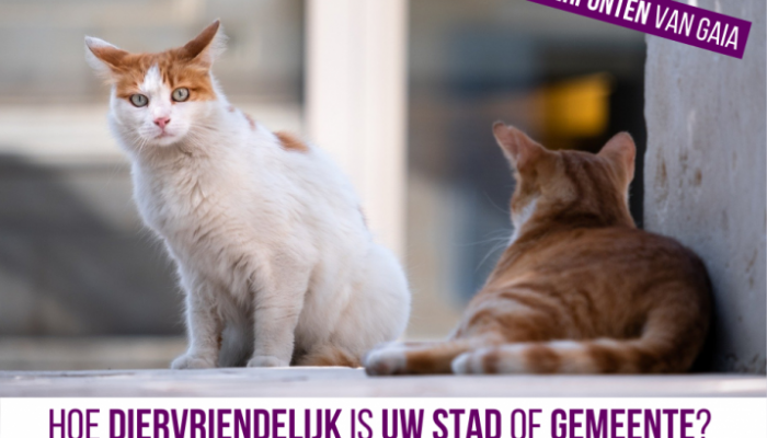 Diervriendelijke gemeenten