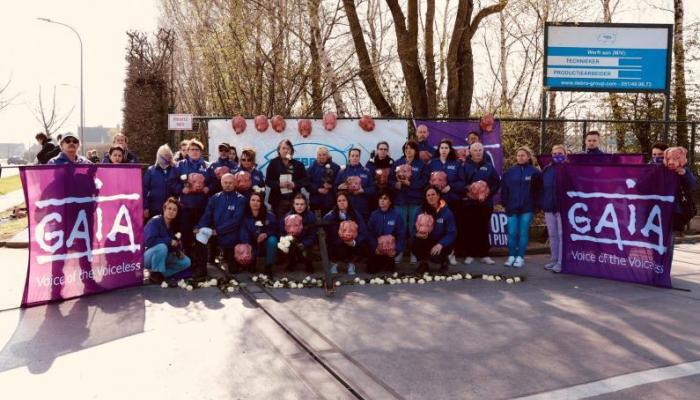 Tielt actie