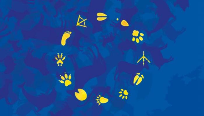 European flag