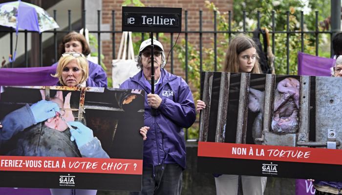 GAIA manifeste devant le cabinet Tellier