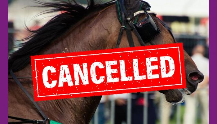 paardenkoers cancelled
