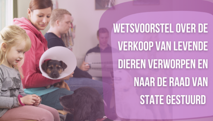 Wetsvoorstel over de verkoop van levende dieren verworpen en naar de Raad van State gestuurd 