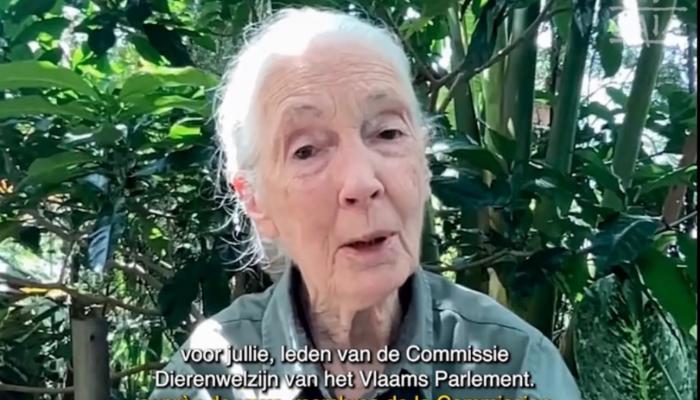Jane Goodall still