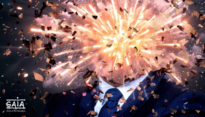 feux d'artifice