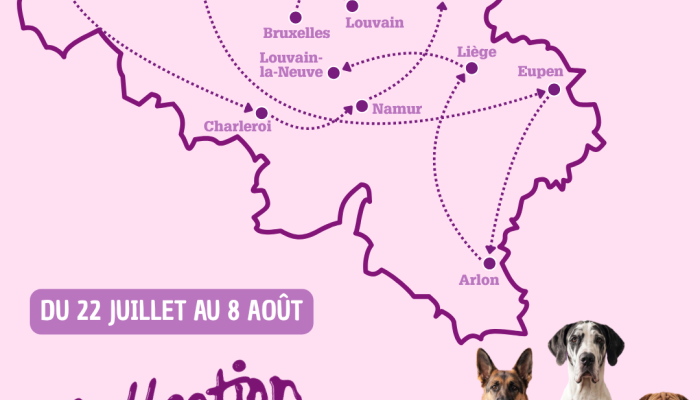 hypertype chiens et chats