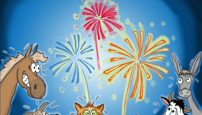 gaia_vuurwerk_verknal_onze_feestdagen