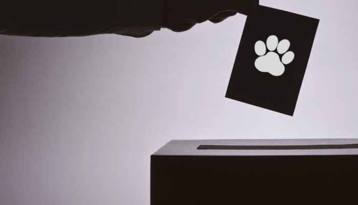 jevoteanimaux.be