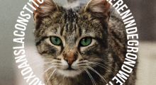 JOURNEE MONDIALE DES ANIMAUX