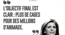 Quote Stella Kyriakides