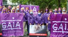 Gaia animal rights