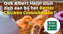 Albertheijn