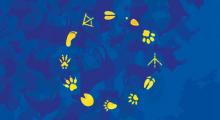 Drapeau UE