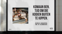 Kippenkooien