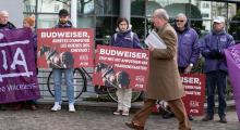 Aandeelhouder AB Inbev loopt voorbij GAIA-demonstranten