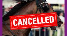 paardenkoers cancelled