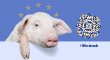 #EUforAnimals