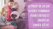 Le projet de loi sur la vente d'animaux vivants refusé et envoyé au  Conseil d'État 