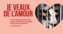 Je veaux de l'amour