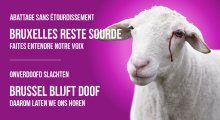 Faites entendre ma voix 