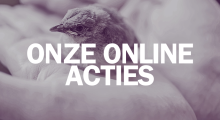onlineacties