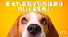 Dieren in de Grondwet