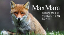 max mara stopt bont
