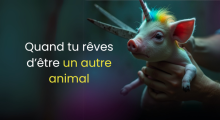 Campagne fundraising 