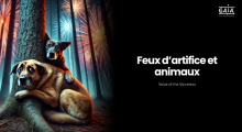 feux d'artifice et animaux