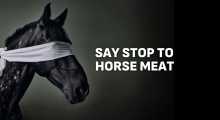 horse meat