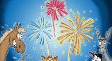 gaia_vuurwerk_verknal_onze_feestdagen