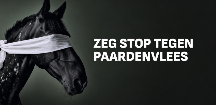 Paardenvlees