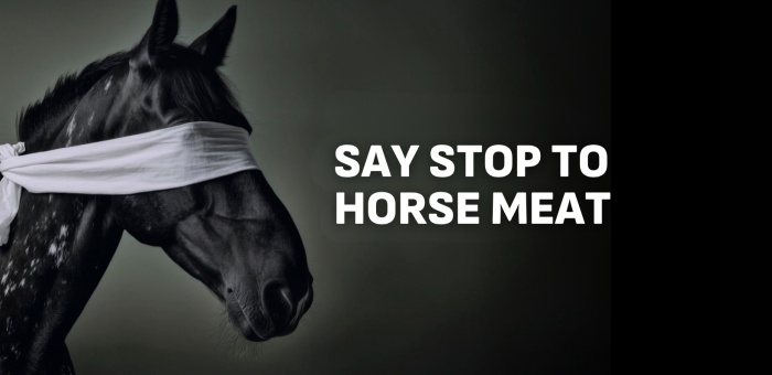 horse meat