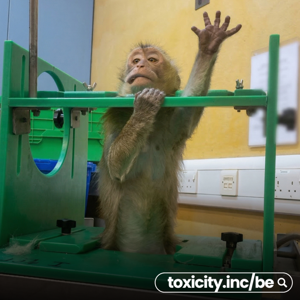 toxicity tests toxicité
