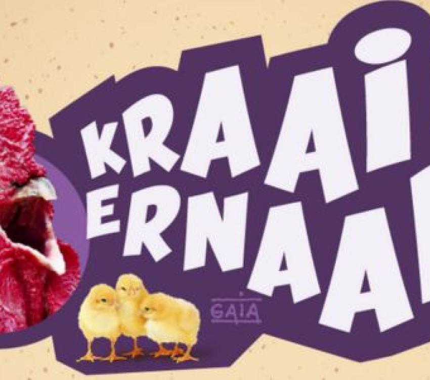 ZOMERTOER 2024