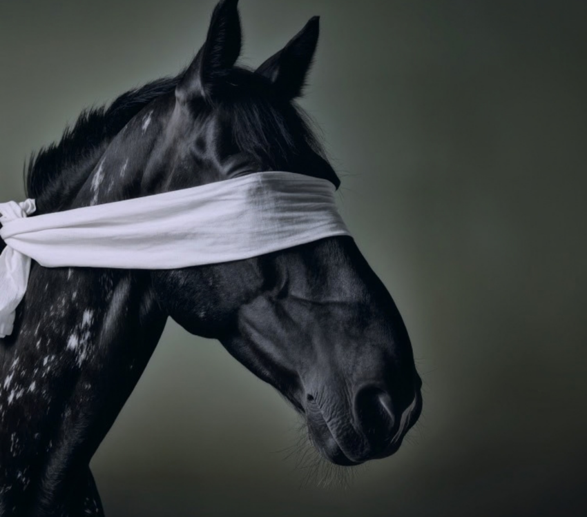 viande de cheval