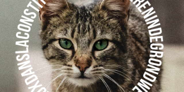 JOURNEE MONDIALE DES ANIMAUX