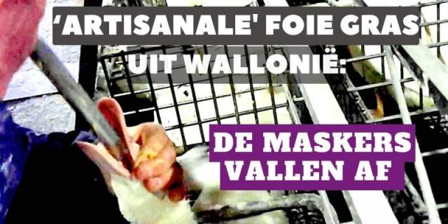 foie gras