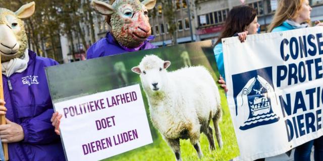 gouvernement bruxellois 