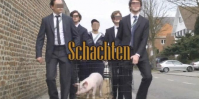 Gebruik varken tijdens schacht