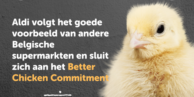 Better Chicken Commitment
