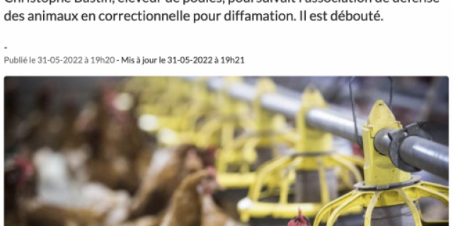 Poules 