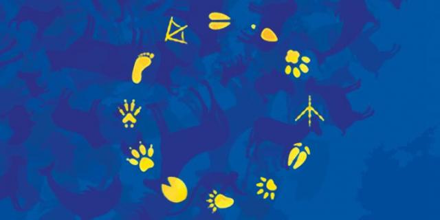 Drapeau UE
