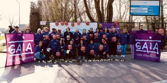 Action Tielt