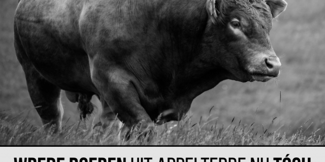 Appelterre