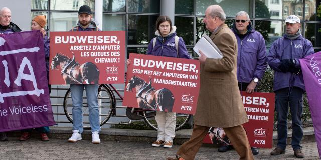 Aandeelhouder AB Inbev loopt voorbij GAIA-demonstranten