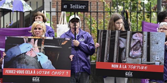 GAIA manifeste devant le cabinet Tellier