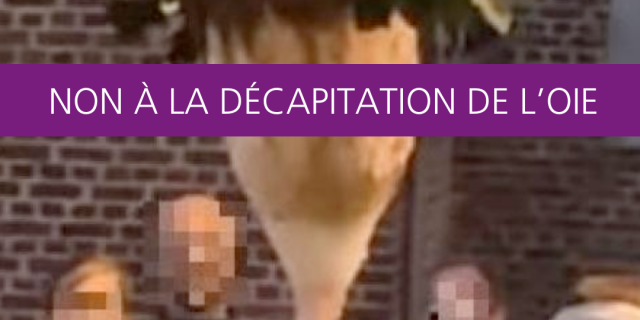 Non à la décapitation de l'oie